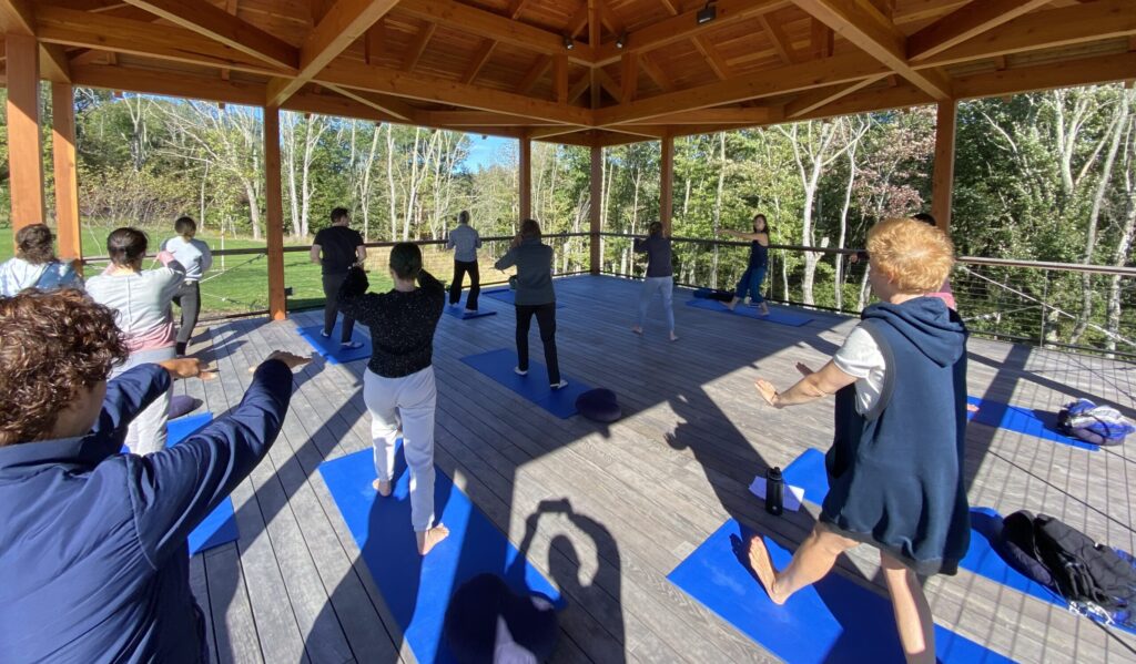 The Cultural Landscape of Arctic Wellness: Tradition, Healing, and Identity